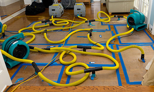 Professional Sewage Cleanup technician working in Farmington, AR